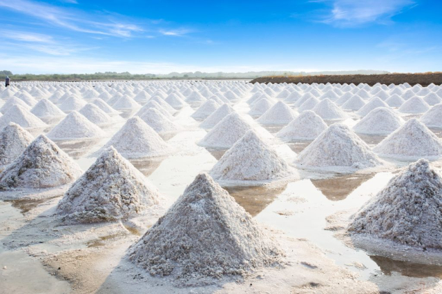 Samut Songkhram Salt Farms — Mae Klong