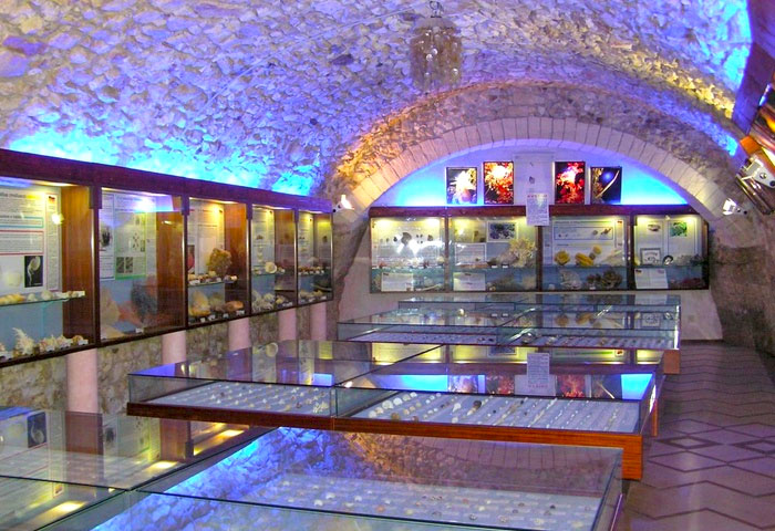 Malacological Museum - Vieste | Secret World Trip Planner