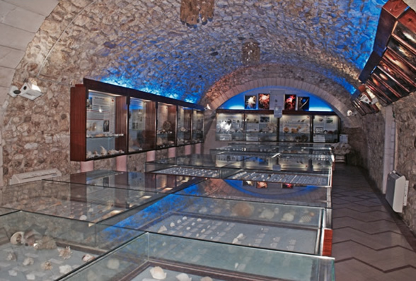 Malacological Museum - Vieste | Secret World Trip Planner