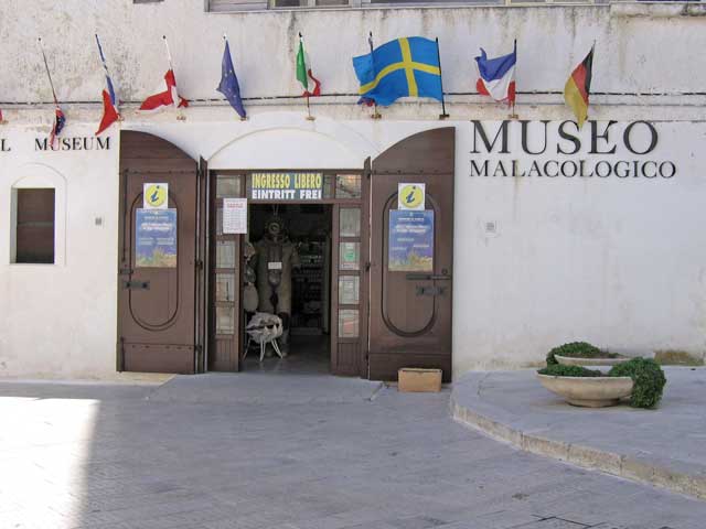 Malacological Museum - Vieste | Secret World Trip Planner
