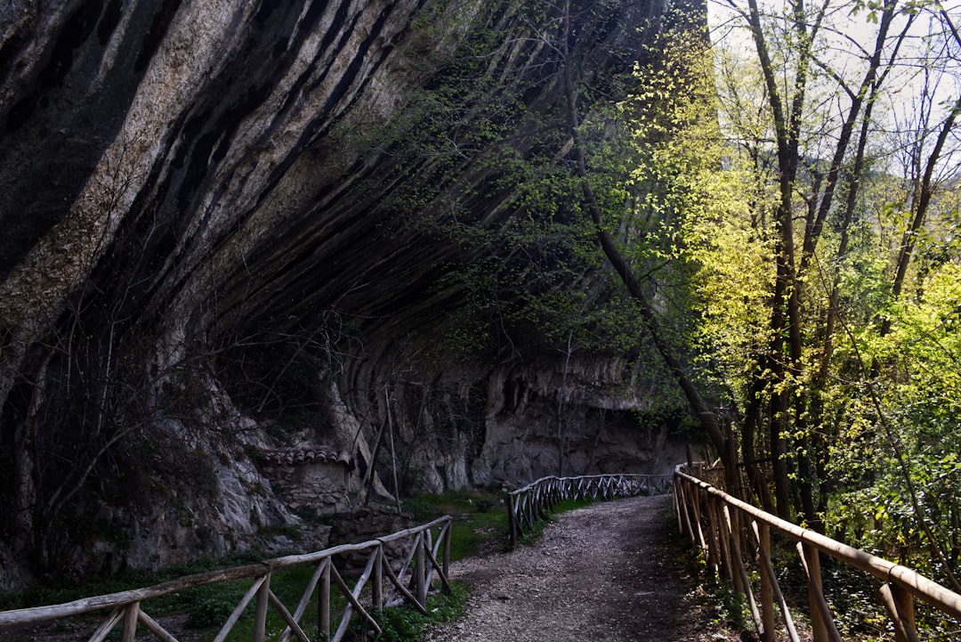 Природный заповедник Сассо-Фратино - 47021 Bagno di Romagna FC | Secret World Trip Planner