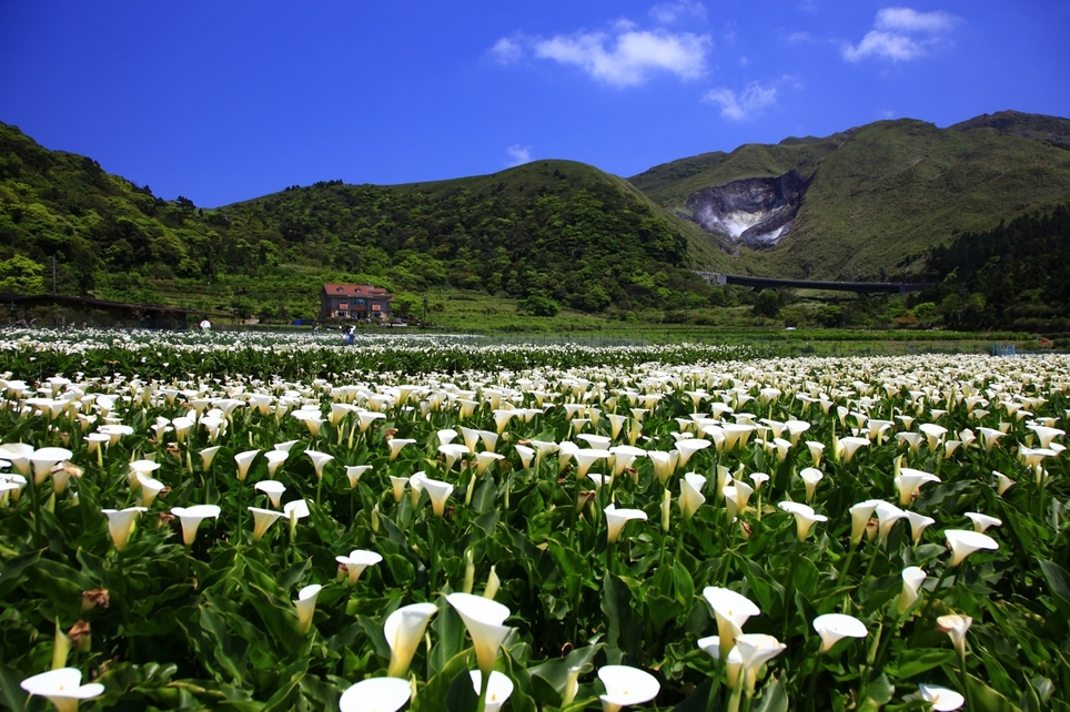 Taiwan | Yangmingshan National Park