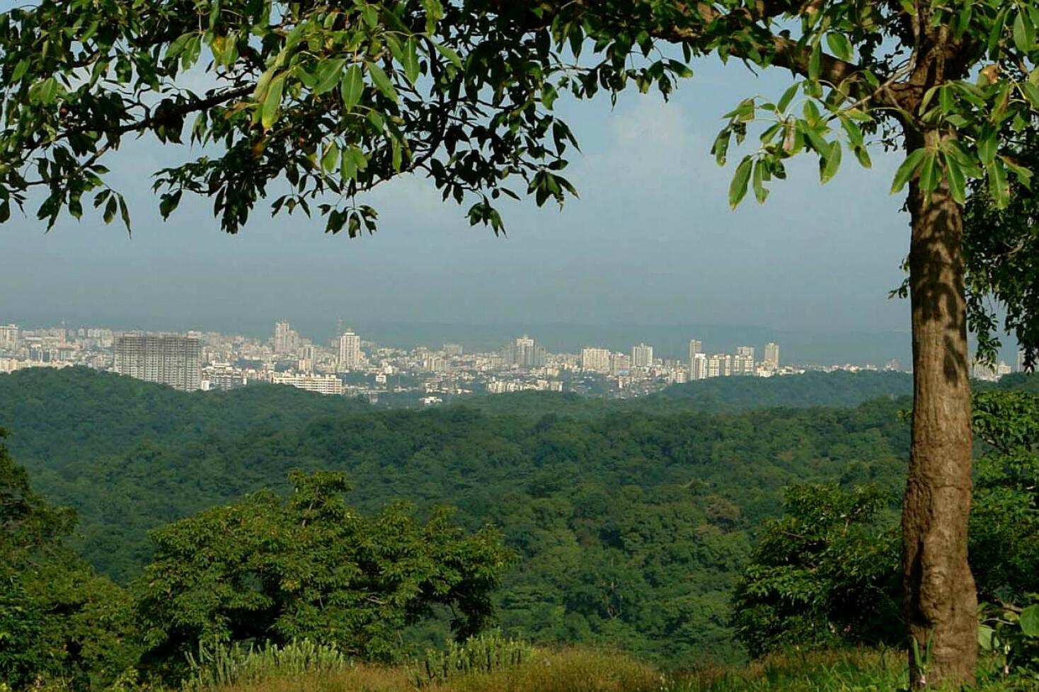 Mumbai | Sanjay-Gandhi-Nationalpark: ein Naturschatz - Mumbai | Secret World Trip Planner
