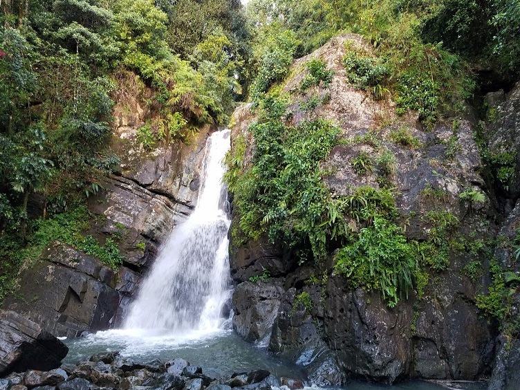 Puerto Rico | El Yunque : The only Rainforest in North America