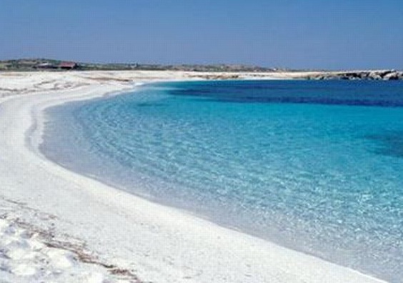 Sardegna Nascosta | Is Arutas ( Goats ) — Is Arutas
