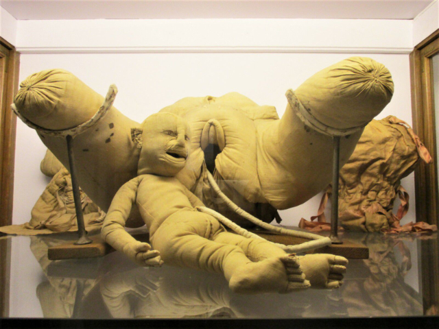 Musée Flaubert et d'Histoire de la Médecine - Rouen | Secret World Trip Planner