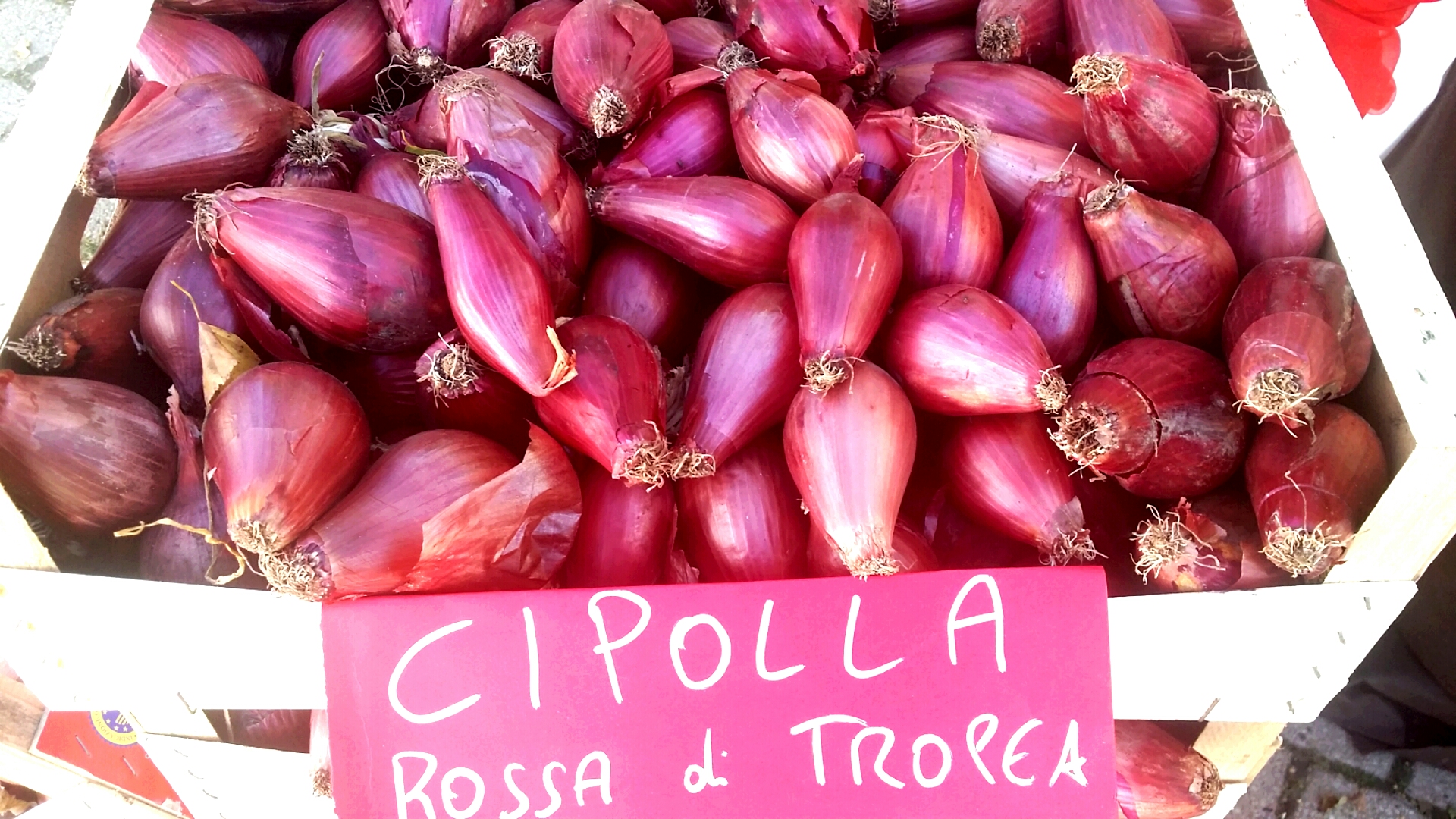 Rote Zwiebeln aus Tropea - Tropea | Secret World Trip Planner
