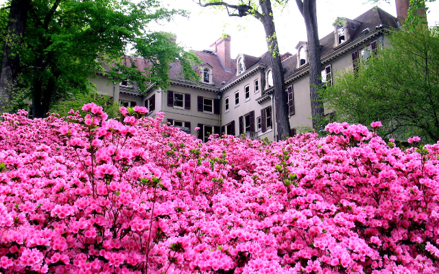 The Winterthur Museum, Garden & Library - Winterthur | Secret World Trip Planner