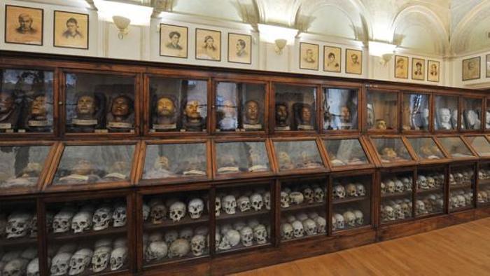 Lombroso Makumbusho ya mauaji ya anthropology - Torino | Secret World Trip Planner