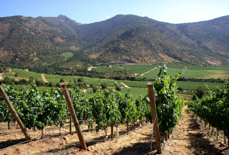 Sapori della Valle, Cile - Santiago | Secret World Trip Planner