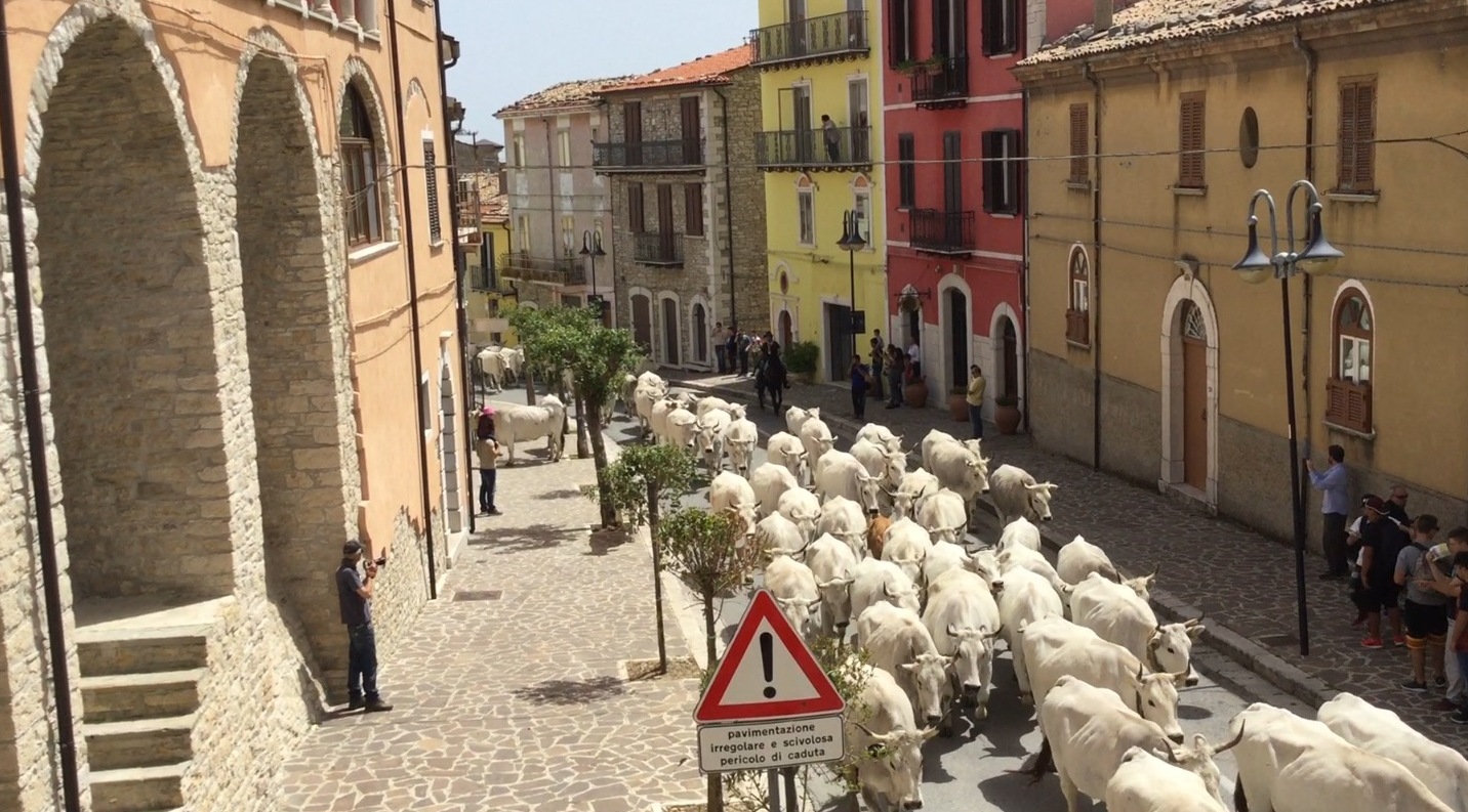 Frosolone, die Stadt der Messer - Frosolone | Secret World Trip Planner