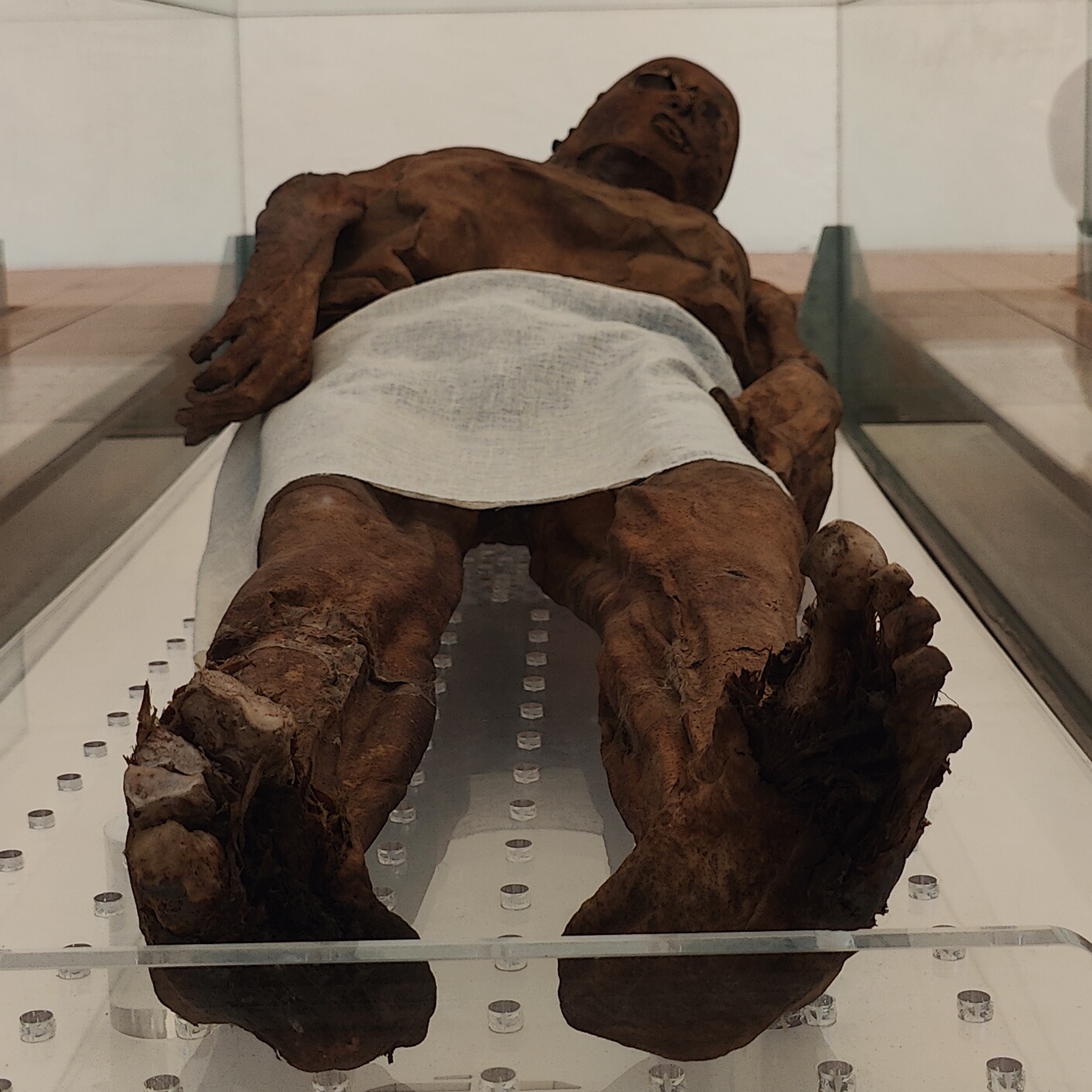 Mummies of Venzone - Venzone | Secret World Trip Planner