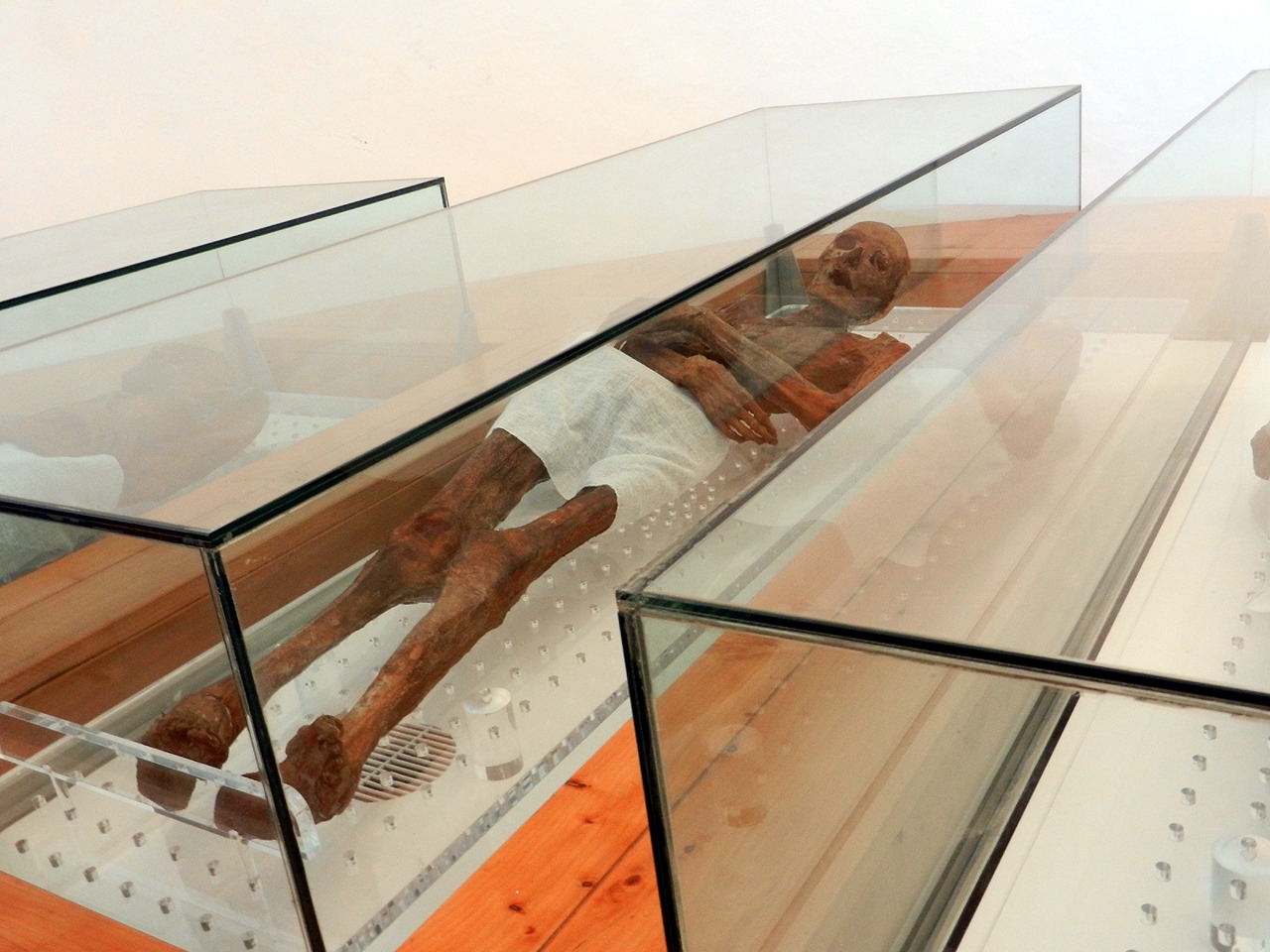 Mummies of Venzone - Venzone | Secret World Trip Planner