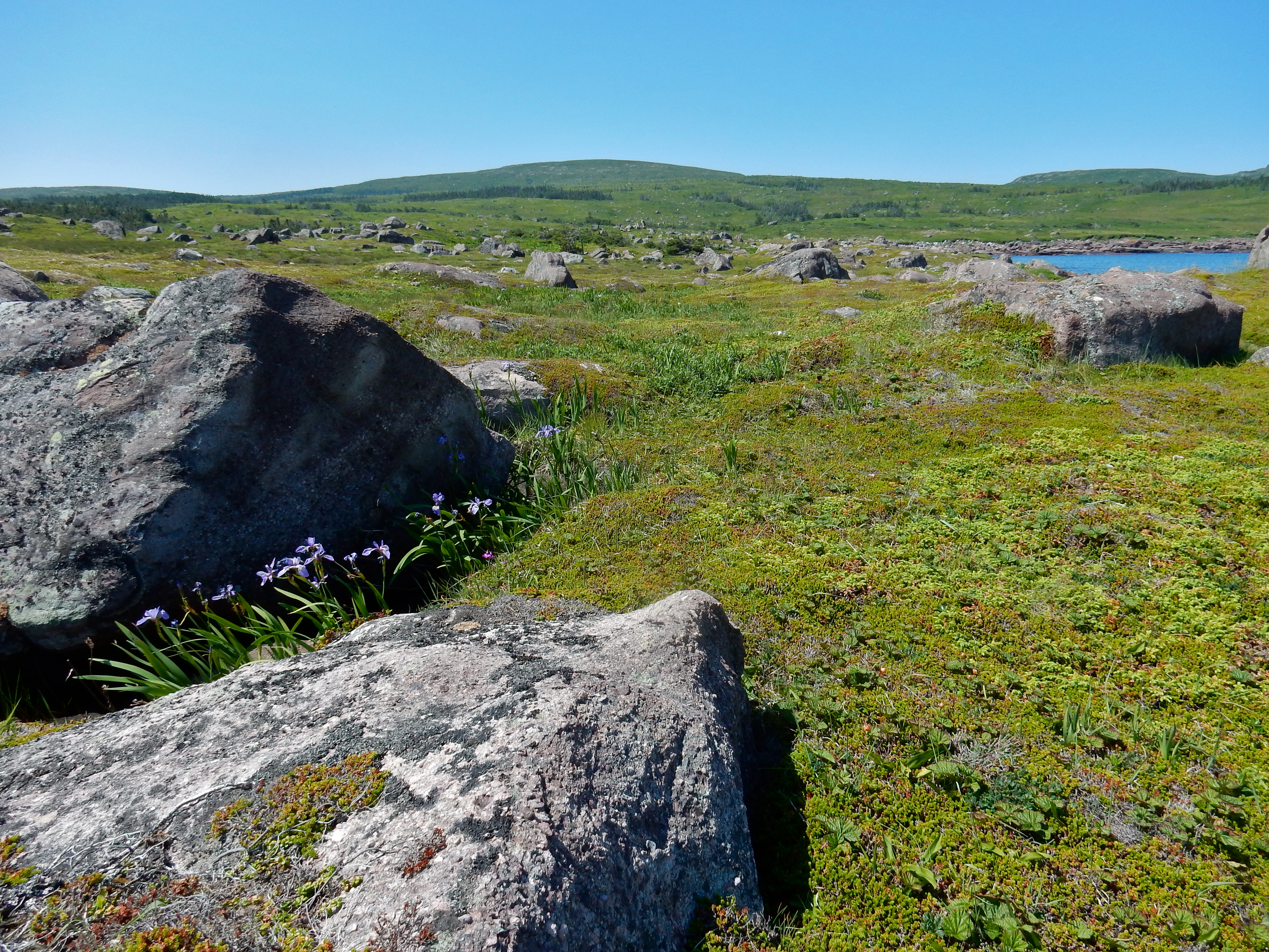 Canada | The Stunning East Coast Trail  - Saint John's | Secret World Trip Planner