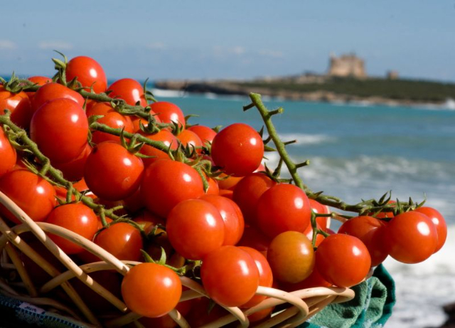 Pachino Tomato - Pachino | Secret World Trip Planner