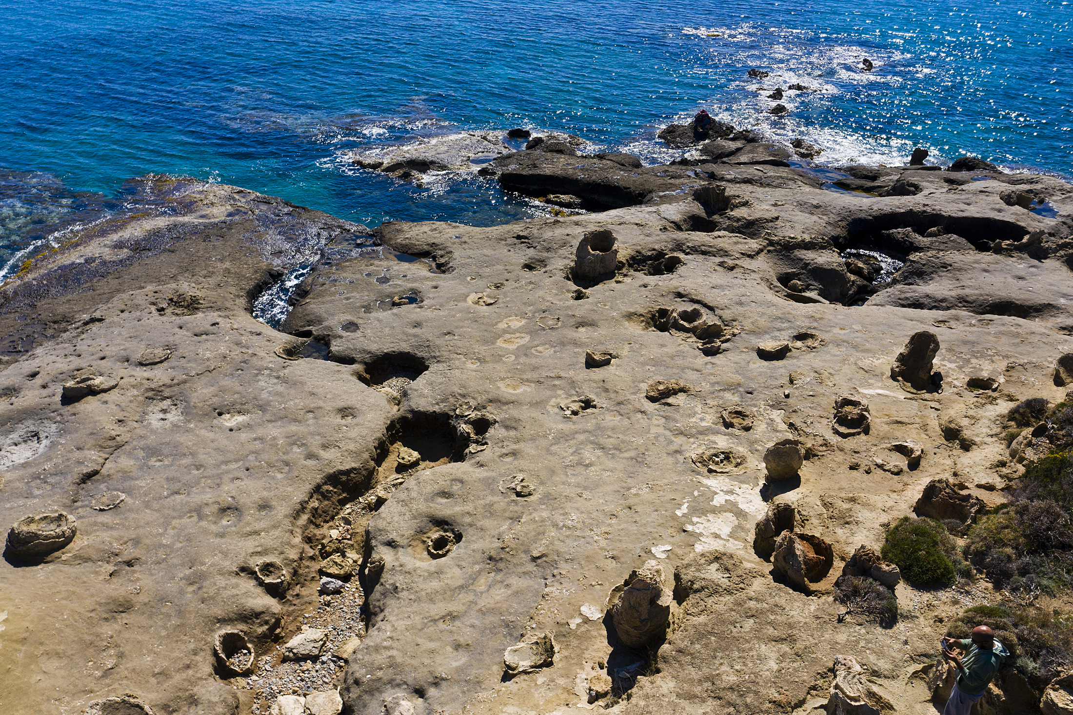 Versteinerter Wald, Agia Marina Paralia - Petrified Forest, Agia Marina Paralia | Secret World Trip Planner