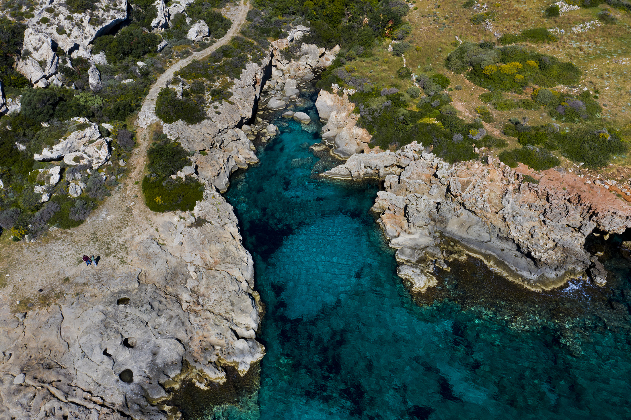 Versteinerter Wald, Agia Marina Paralia - Petrified Forest, Agia Marina Paralia | Secret World Trip Planner