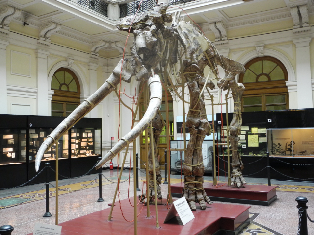 Museo Civico di Storia Naturale Giacomo Doria — Genova