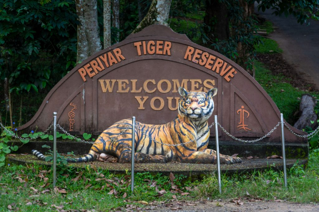 Riserva di Tigre di Periyar — Kerala