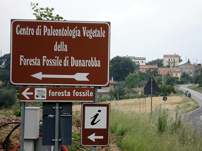 Dunarobba fósiles bosque - 46 | Secret World Trip Planner