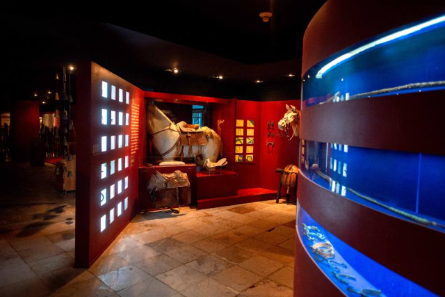 Museum für zeitgenössische Kunst von Ceará - MAC - Fortaleza - CE | Secret World Trip Planner