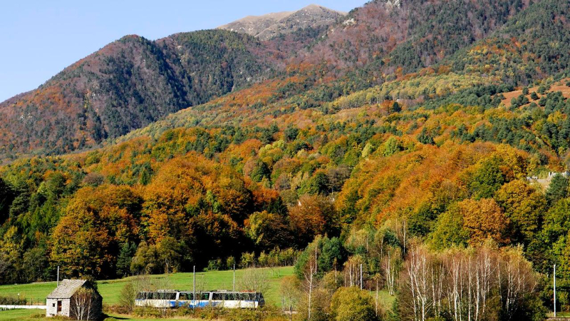 Laub mit der Centovallibahn - Domodossola | Secret World Trip Planner