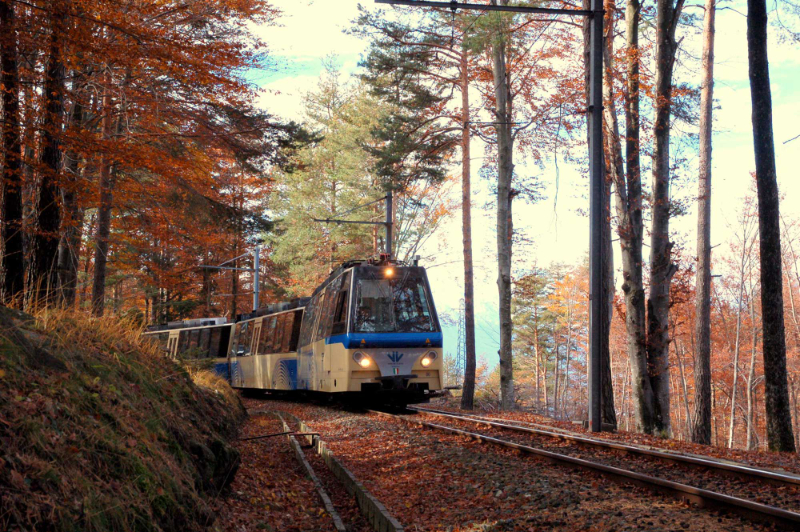 Laub mit der Centovallibahn - Domodossola | Secret World Trip Planner