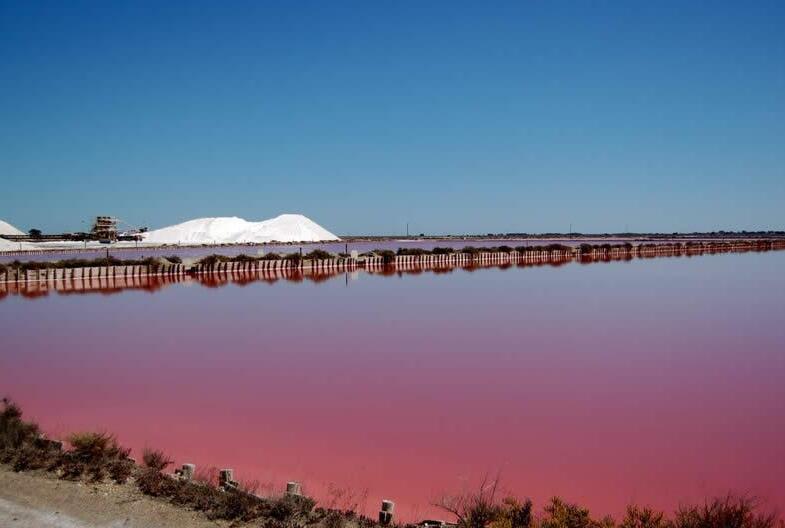 Pink Salins in Aigues-Mortes — Aigues-Mortes