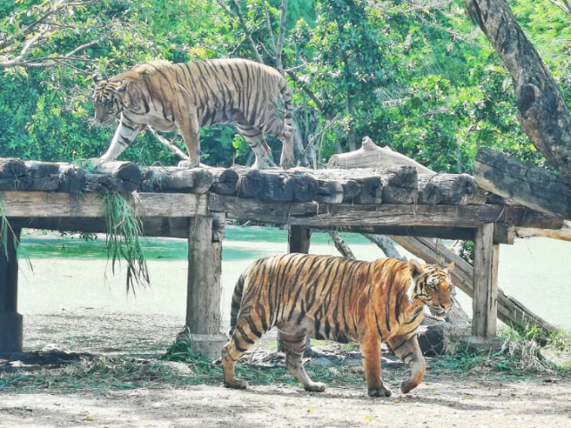 Safari-Welt Bangkok - Khet Khlong Sam Wa | Secret World Trip Planner