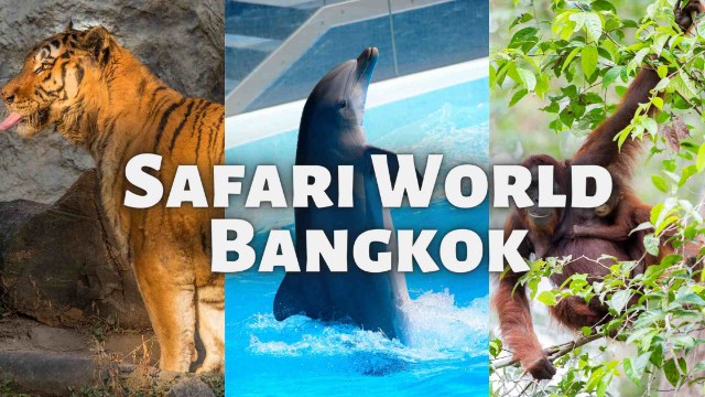 Safari World Bangkok — Khet Khlong Sam Wa