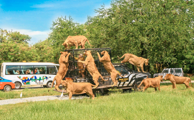 Safari World Bangkok - Khet Khlong Sam Wa | Secret World Trip Planner