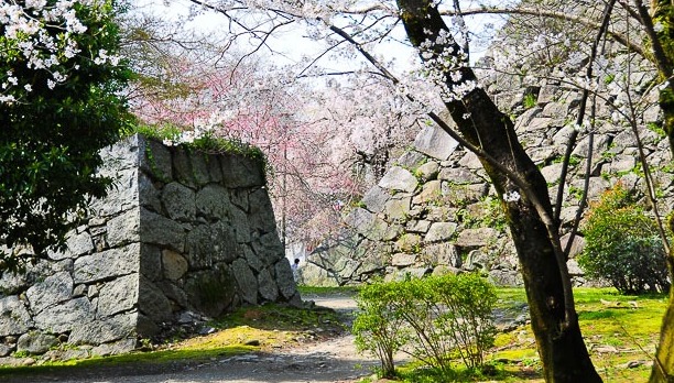 Die Ruinen der Burg Fukuoka — Fukuoka