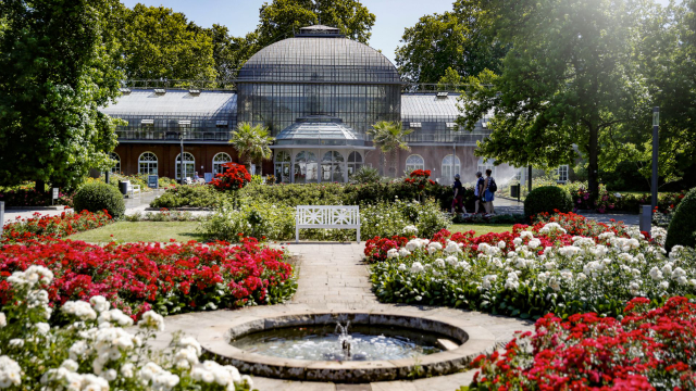 Il giardino delle palme - Frankfurt am Main | Secret World Trip Planner