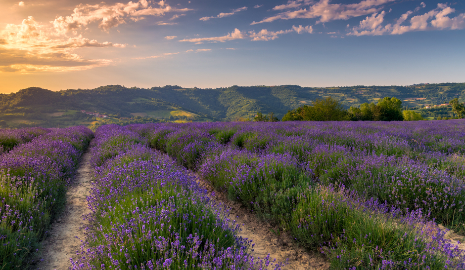 Sale San Giovanni, the little Provence - Sale San Giovanni | Secret World Trip Planner