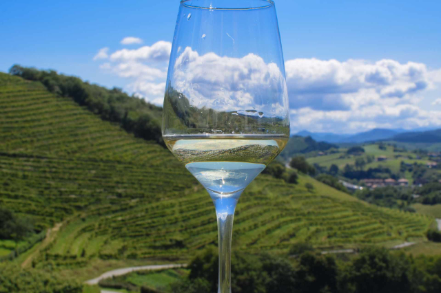 Vino Txakoli - San Sebastián | Secret World Trip Planner