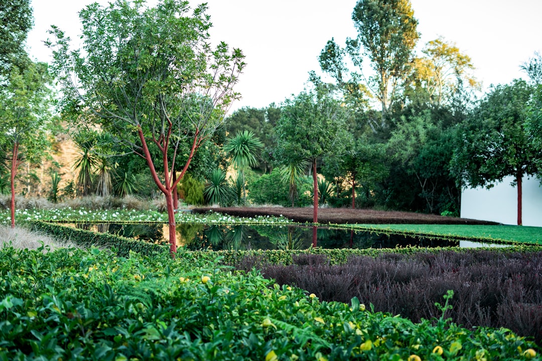 The Third garden by Gilles Clement - Firenze | Secret World Trip Planner