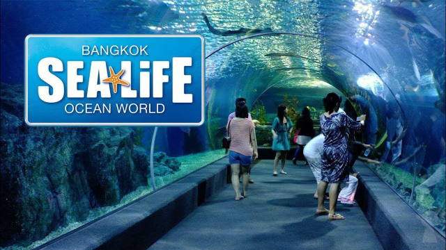 Meeresleben Bangkok Ocean World — Khet Pathum Wan