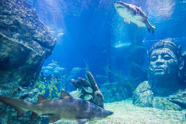 Meeresleben Bangkok Ocean World - Khet Pathum Wan | Secret World Trip Planner
