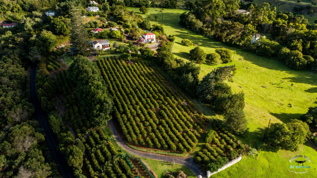 Caffè di Sant'Elena - Jamestown | Secret World Trip Planner