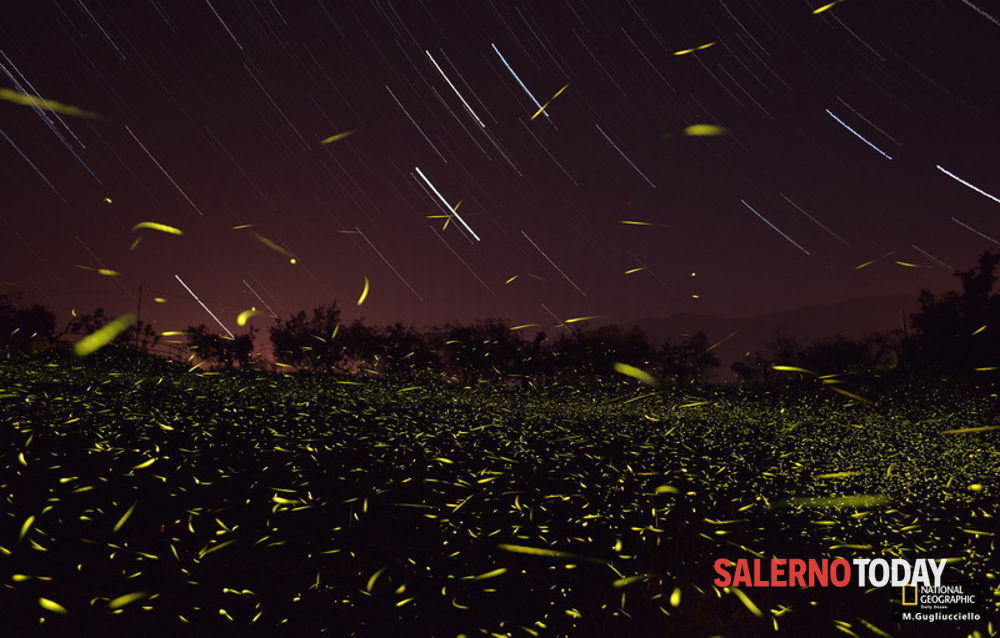 Magjia e fireflies - Ponte Oliveto-bagni | Secret World Trip Planner
