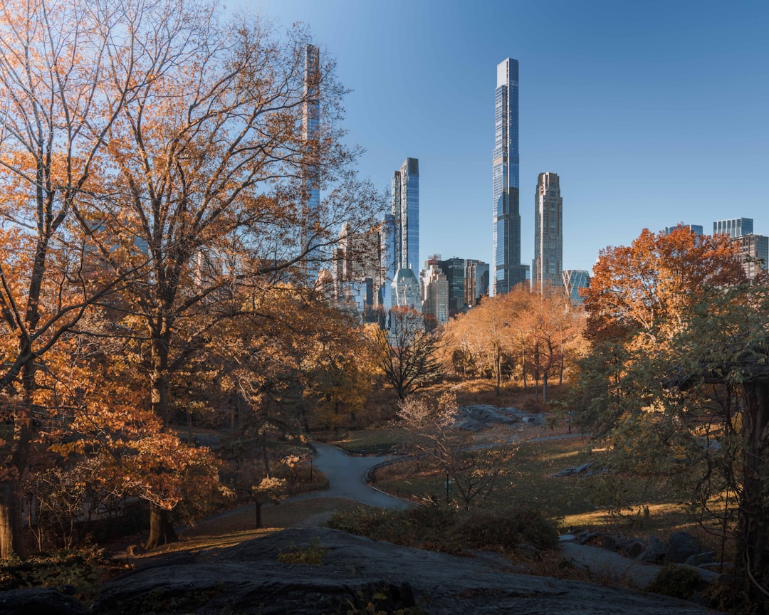 Autumn Rhythm n.30 - New York | Secret World Trip Planner