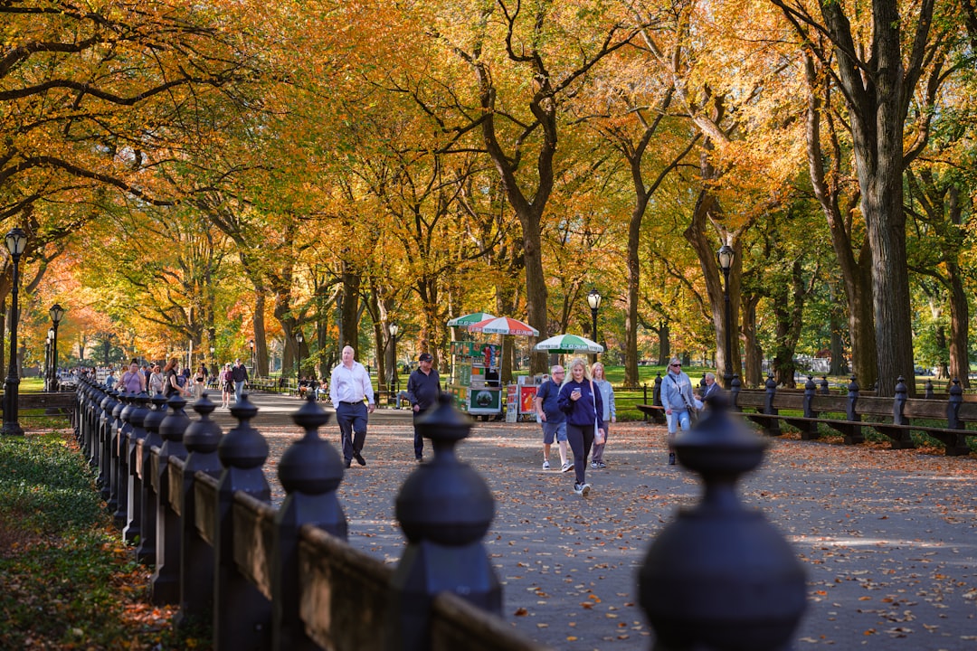 Autumn Rhythm n.30 - New York | Secret World Trip Planner