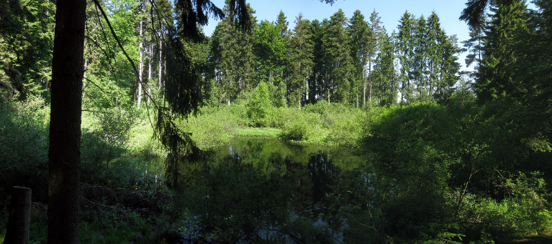 Bodenloser See — Empfingen