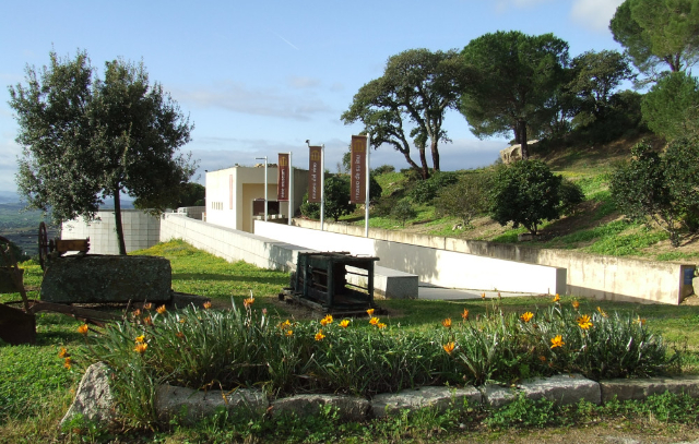 Berchidda Wine Museum — Berchidda