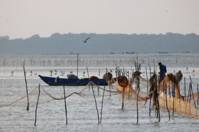 Kokkilai Lagoon — Kokkilai Lagoon