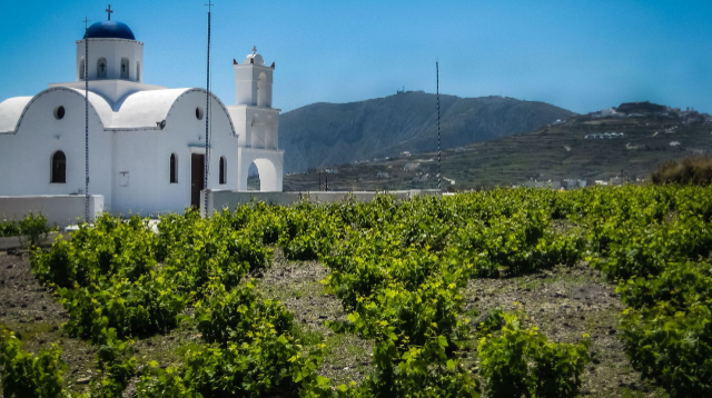 Wines of Santorini: The Liquid Gold of the Aegean - Santorini | Secret World Trip Planner