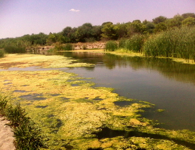 Esplorando l'Oasi WWF di Policoro - 1 | Secret World Trip Planner