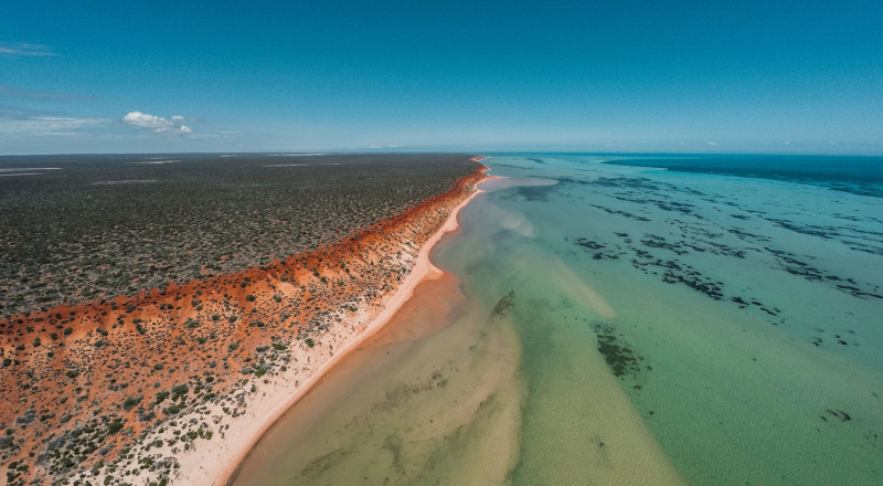 Shark Bay, Westaustralien — Contea di Shark Bay