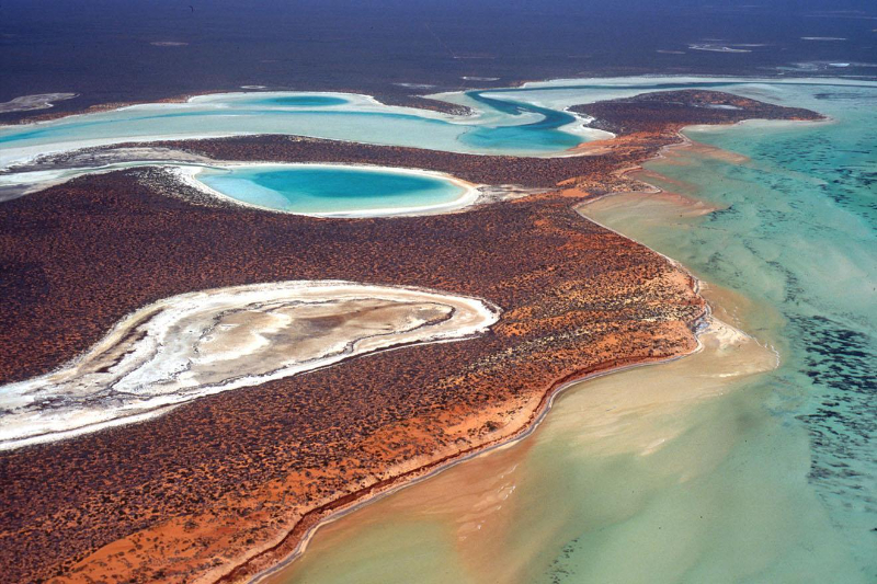 Shark Bay, Westaustralien - Contea di Shark Bay | Secret World Trip Planner