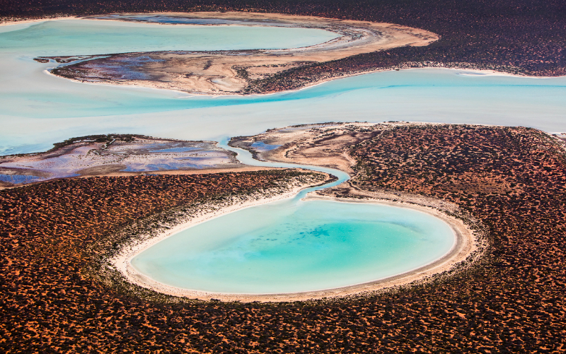 Shark Bay, Westaustralien - Contea di Shark Bay | Secret World Trip Planner